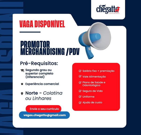 PROMOTOR DE MERCHANDISING / PDV