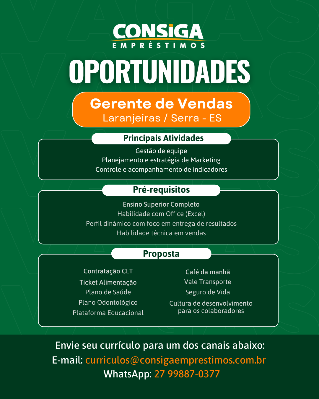 Gerente_de_Vendas_6.png
