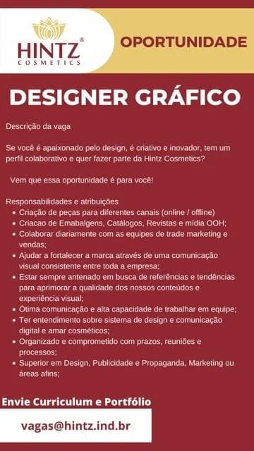HINTZ contrata Designer Gráfico