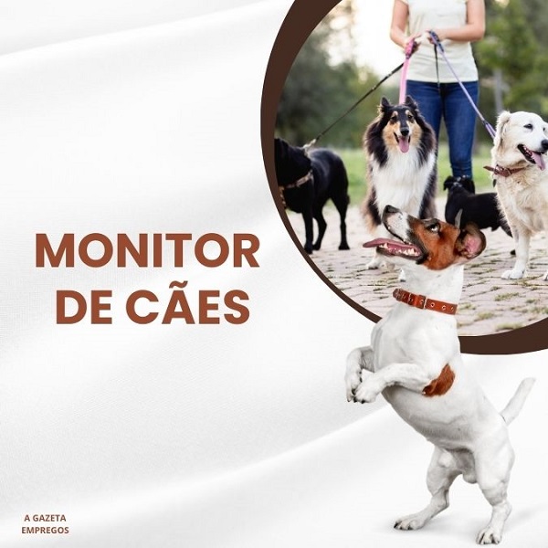 Vaga para Monitor de Cães