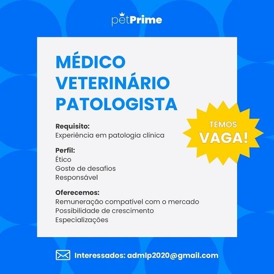 Médico Veterinário Patologista