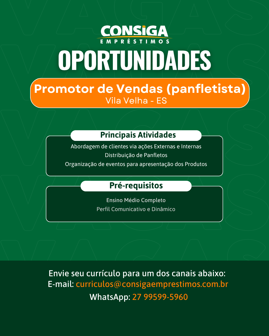 Promotor_de_Vendas_panfletista_2.png