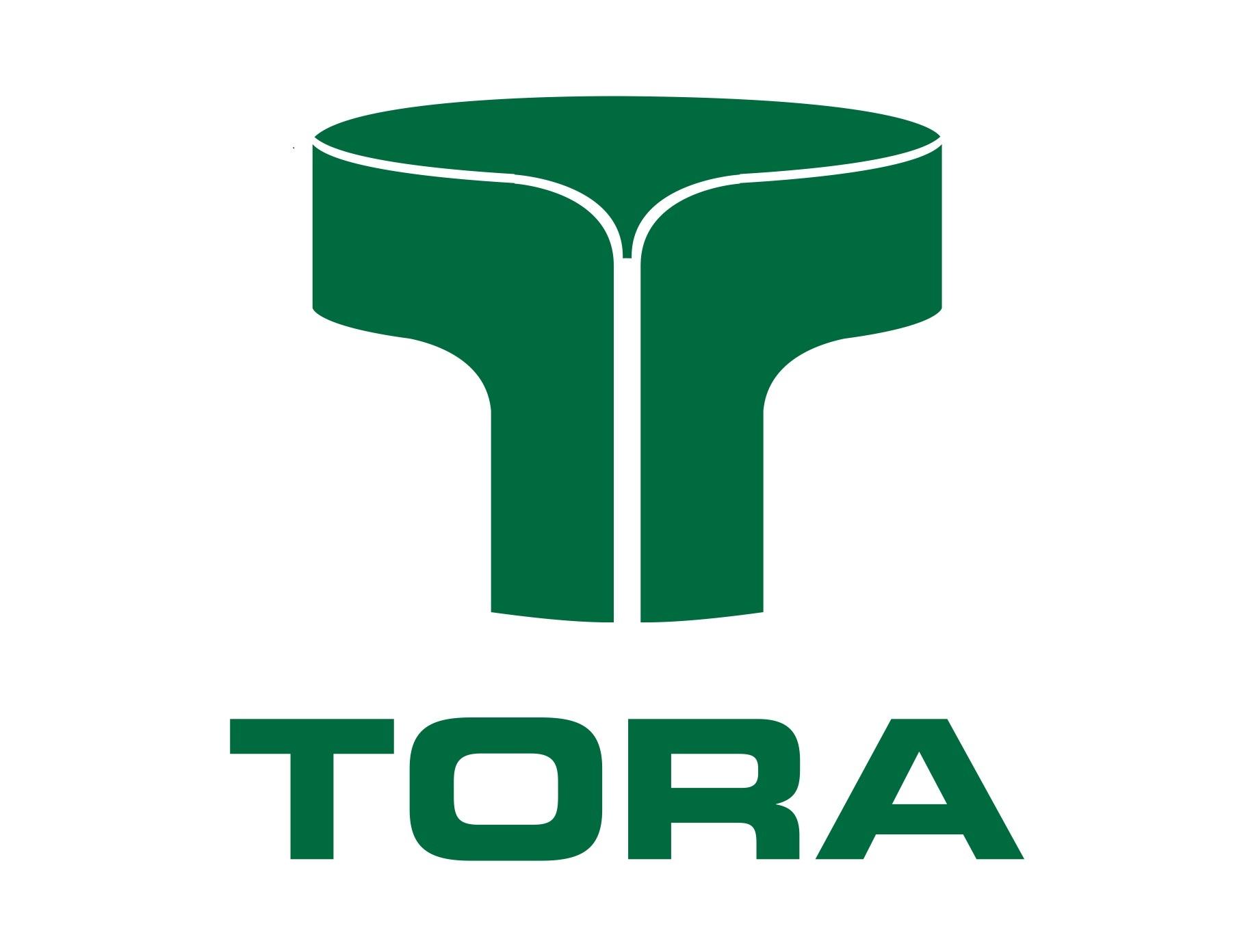 Grupo Tora contrata Assistente Operacional I 