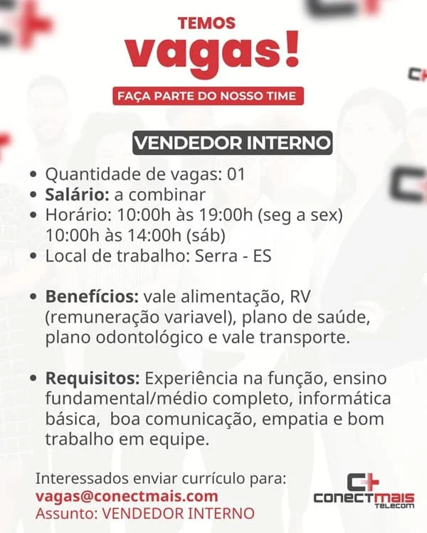 VENDEDOR INTERNO 