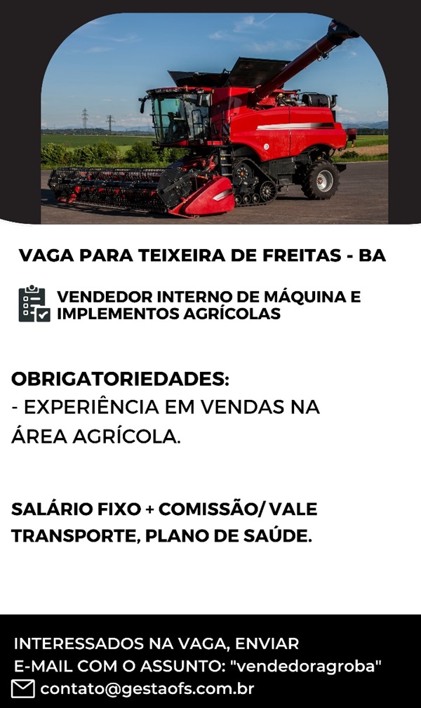 VENDEDOR INTERNO - TEIXEIRA DE FREITAS (BA)