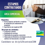 Lev Brasil contrata Consultor comercial especialista