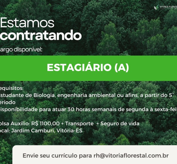 Vitória Florestal abre vaga para Estagiário(a)