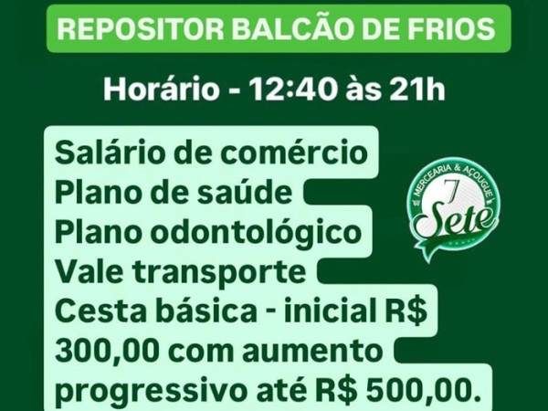 REPOSITOR DE MERCADORIAS
